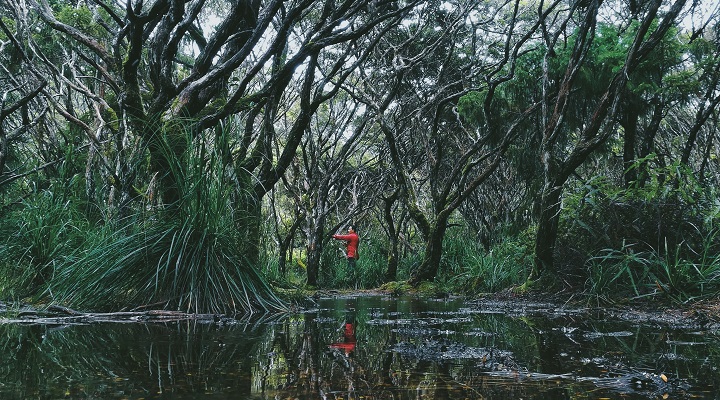 Processed with VSCO with a7 preset Mount Hamiguitan Range Wildlife Sanctuary