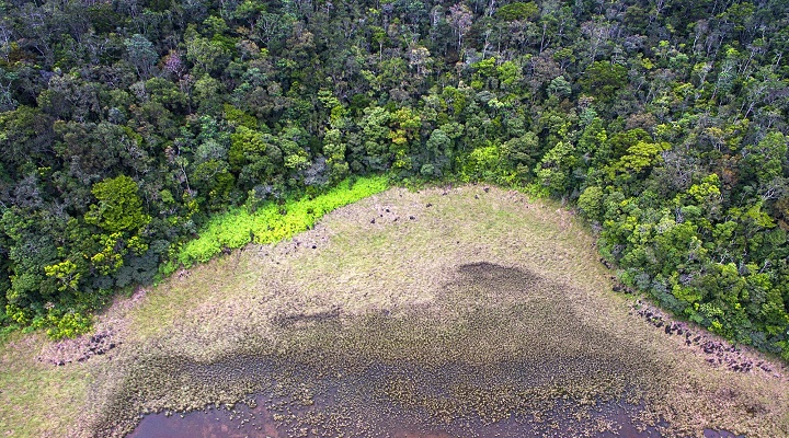 Tinagong Dagat Mount Hamiguitan Range Wildlife Sanctuary