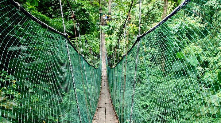 Macahambus 3 Macahambus Adventure Park