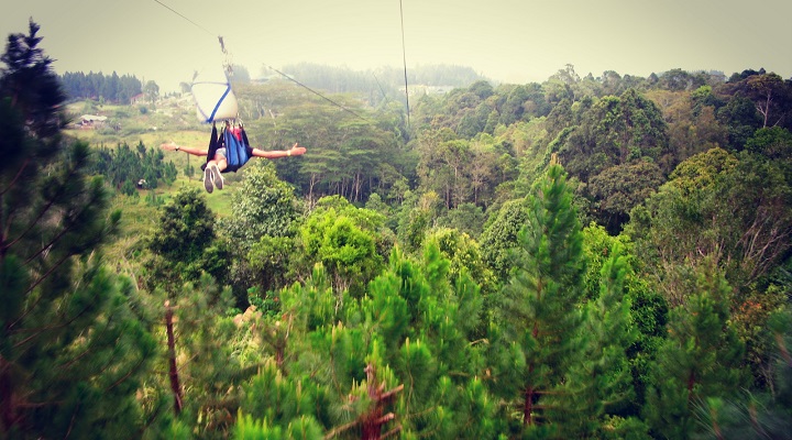 Macahambus 9 Macahambus Adventure Park