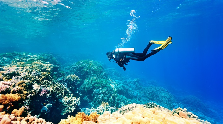 Female scuba diver swimming under water