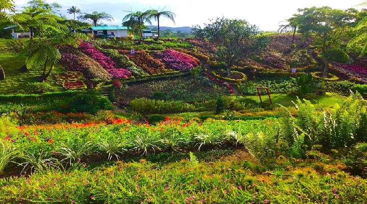 Gantao Hills